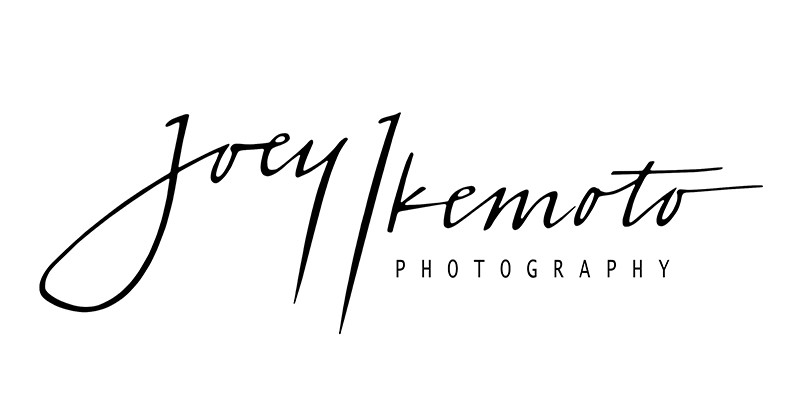 Los Angeles and Torrance Wedding Photographers, The Knot Hall Of Fame