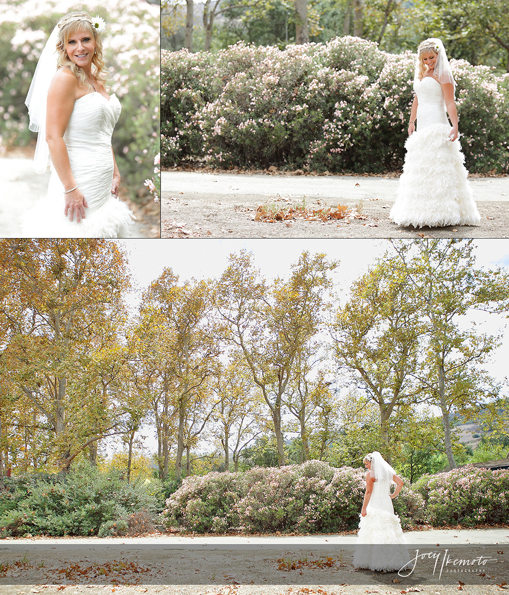 Bommer-Canyon-Irvine-Wedding_0004_Blog-Collage-1443659044987