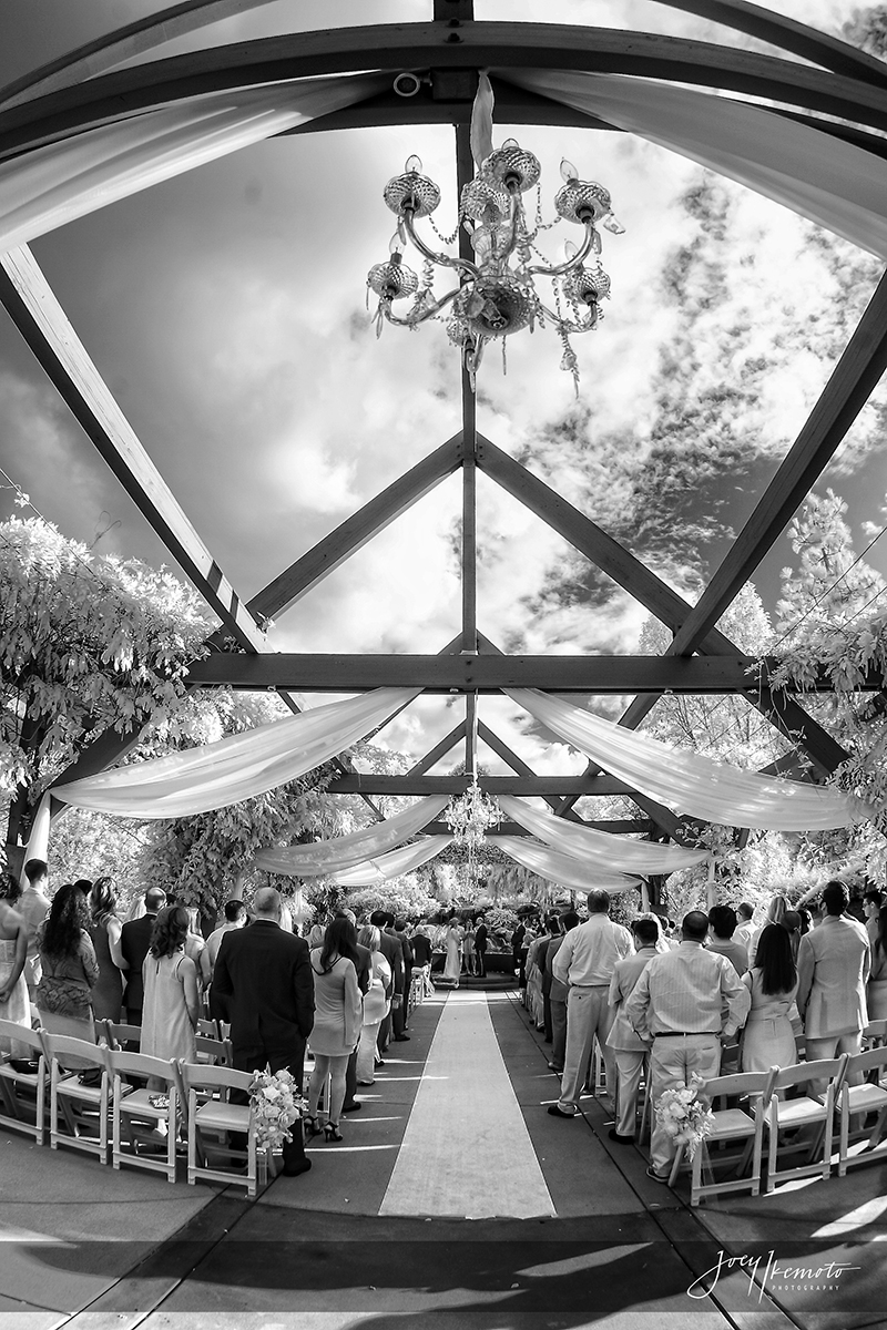 Coyote-Hills-Country-Club-Wedding_0015_1614