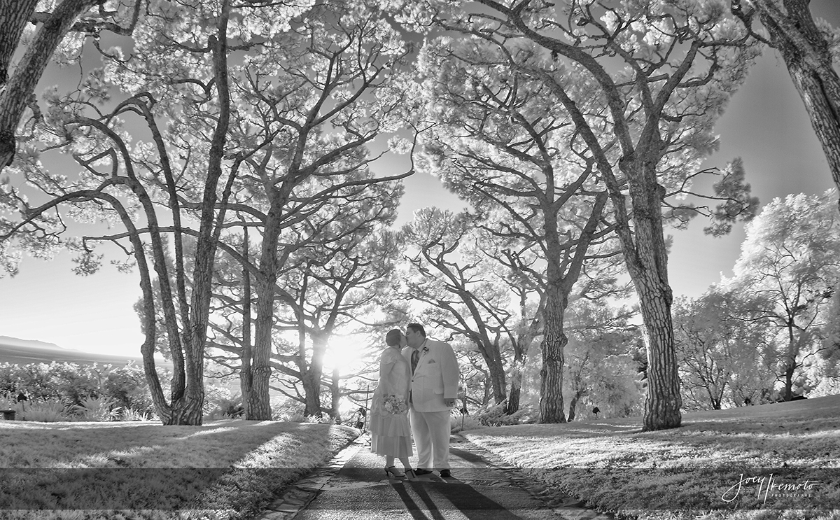 Wayfarers Chapel Palos Verdes and Micheals Tuscany Room San Pedro Wedding_0022_1938