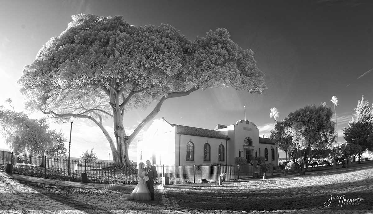 Wayfarers-Chapel-and-Redondo-Beach-Library-Wedding_0045_2337