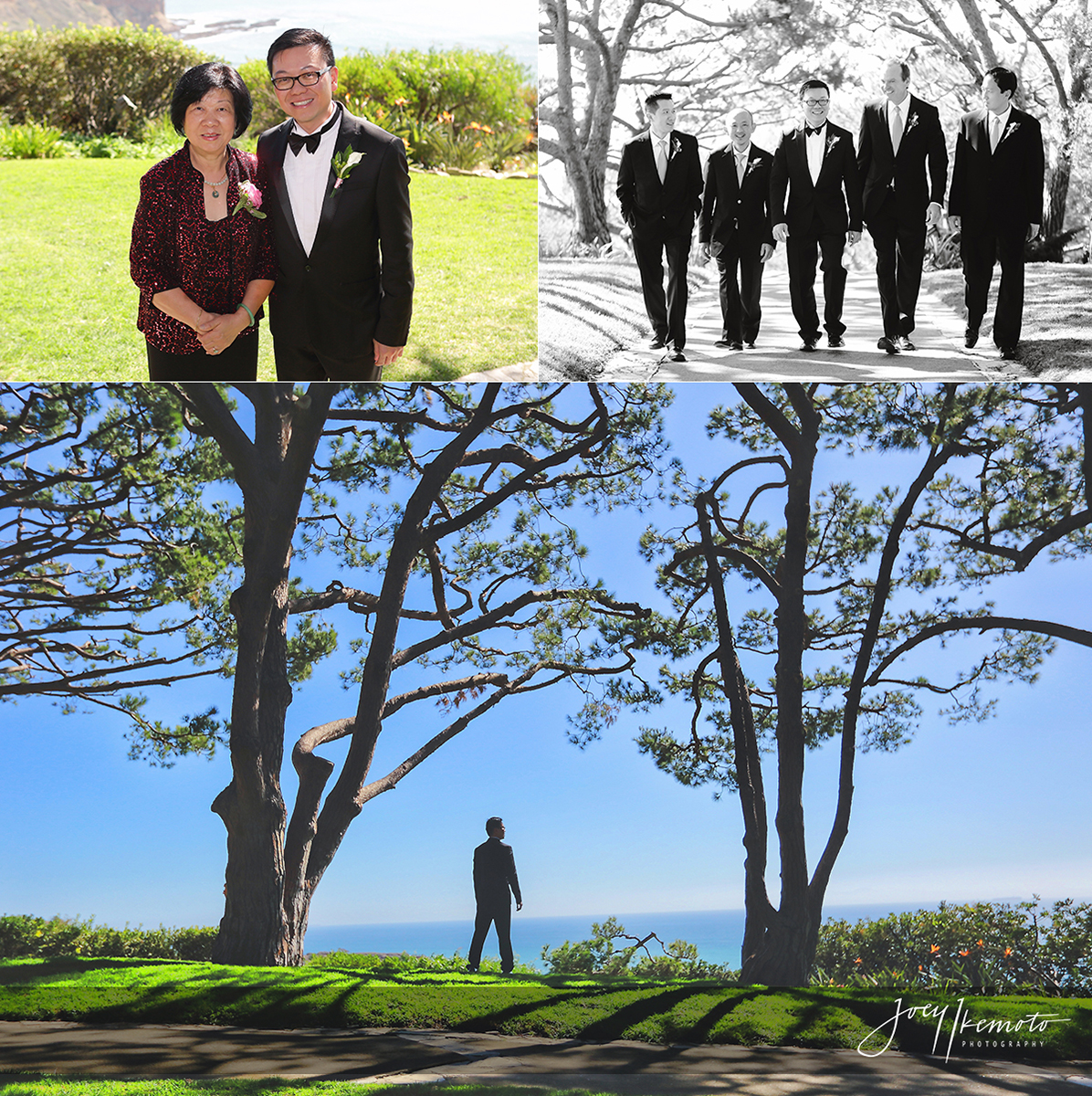 Wayfarers-Chapel-Wedding-and-San-Pedro-Double-Tree_0022_Blog-Collage-1458089416201