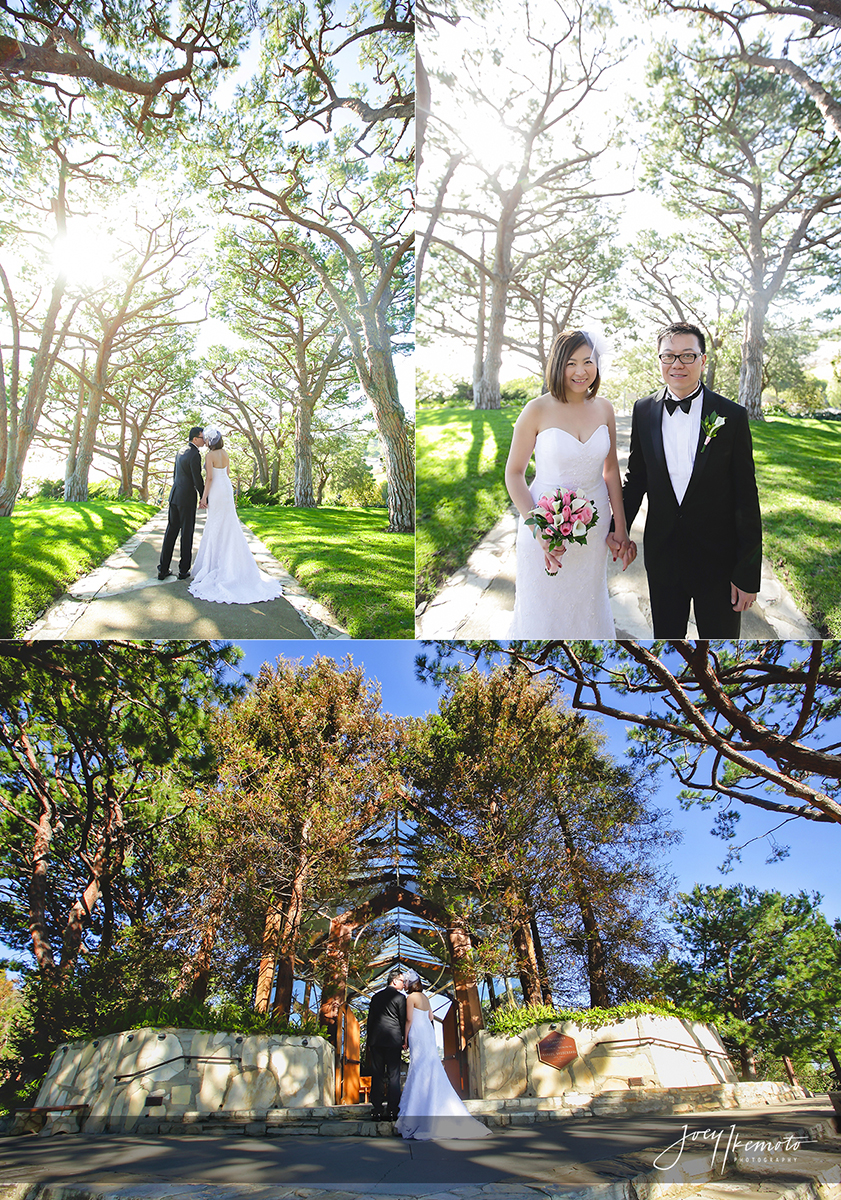 Wayfarers-Chapel-Wedding-and-San-Pedro-Double-Tree_0033_Blog-Collage-1458152916644