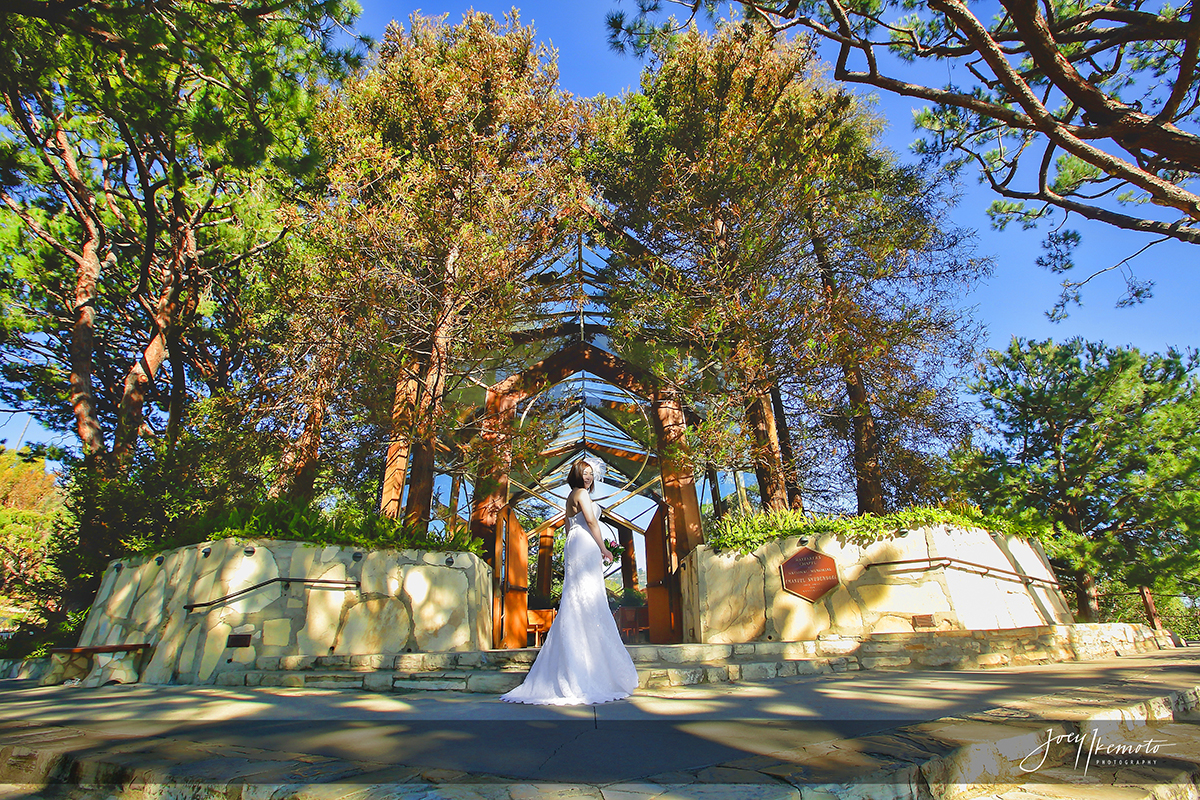 Wayfarers-Chapel-Wedding-and-San-Pedro-Double-Tree_0035_4055