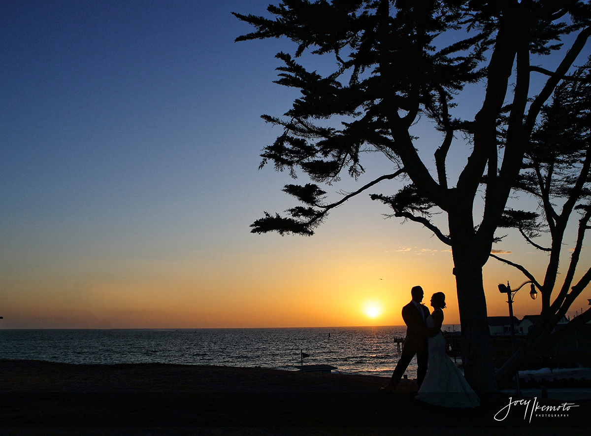 Redondo-Beach-Historic-Library-Wedding_0041_2971