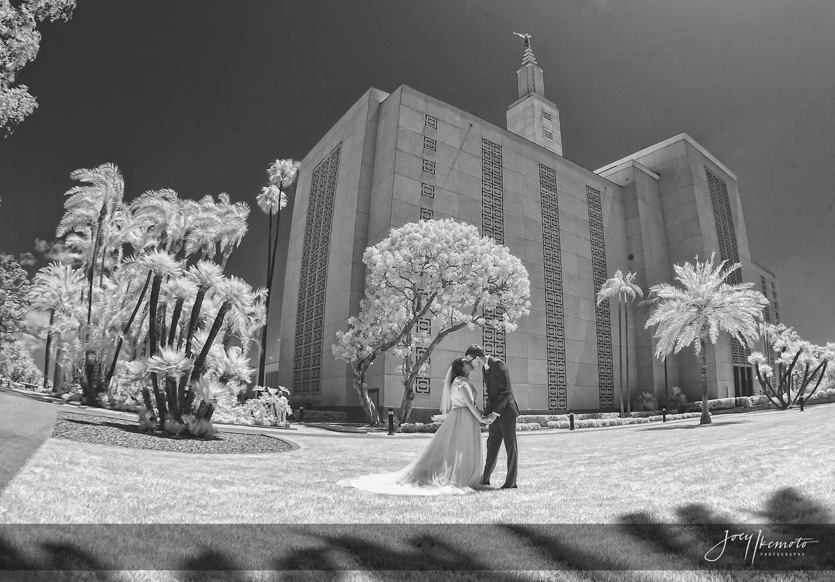 Los-Angeles-California-Temple-Westwood-and-Odyessy-Restaurant-Wedding_0008_1079