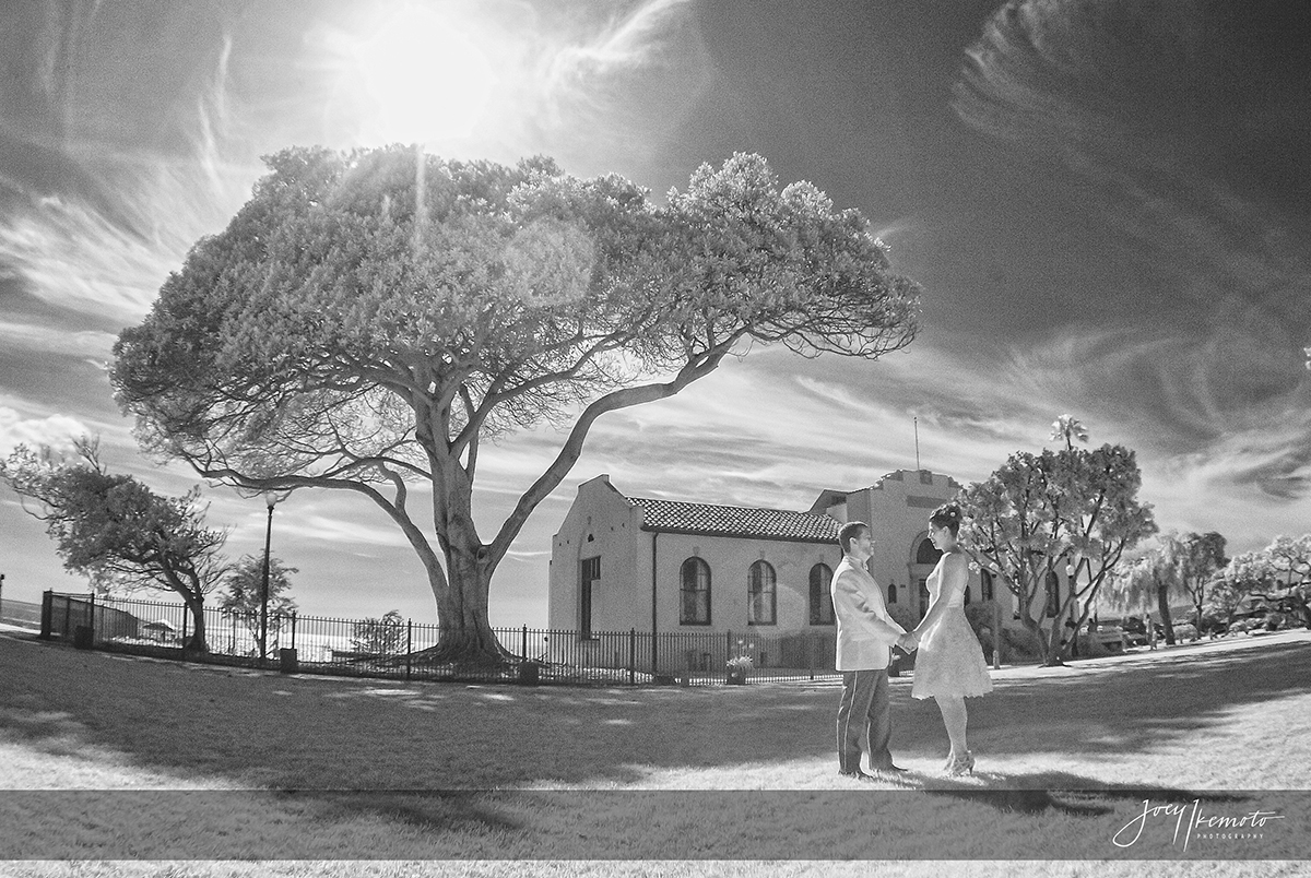 Redondo-Beach-Historical-Library-Wedding_0009_0599