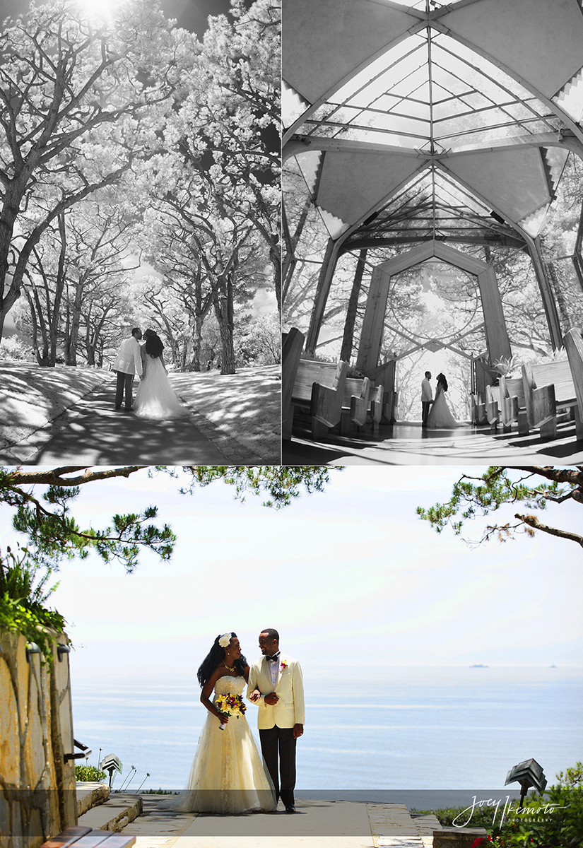 Wayfarers-Chapel-and-Blue-Water-Grill-Redondo-Beach-Wedding_0036_Blog-Collage-1467744834338