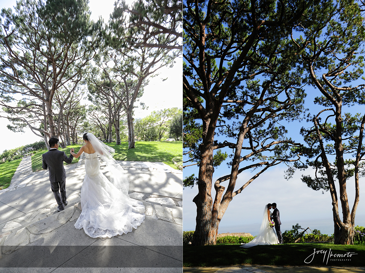 Wayfarers-Chapel-and-Portofino-Redondo-Beach-Wedding_0029_Blog-Collage-1469666801306