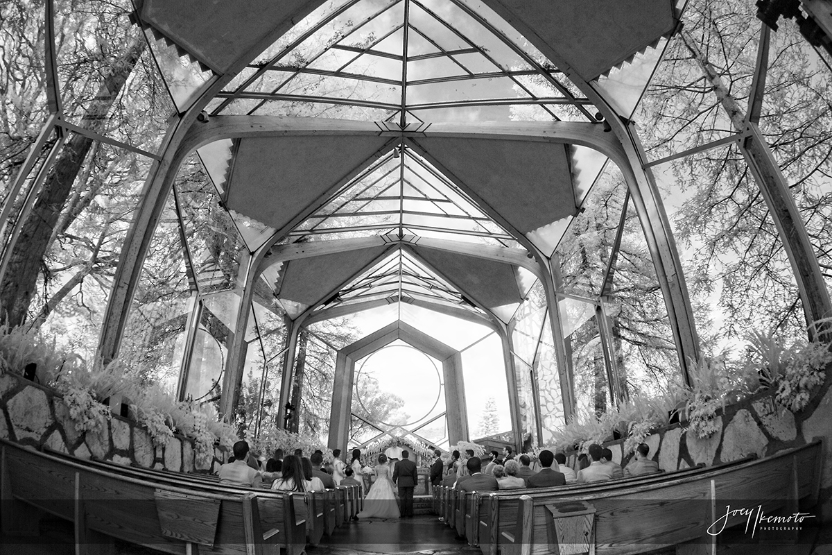 Wayfarers-Chapel-and-Westin-Long-Beach-Wedding_0034_1804