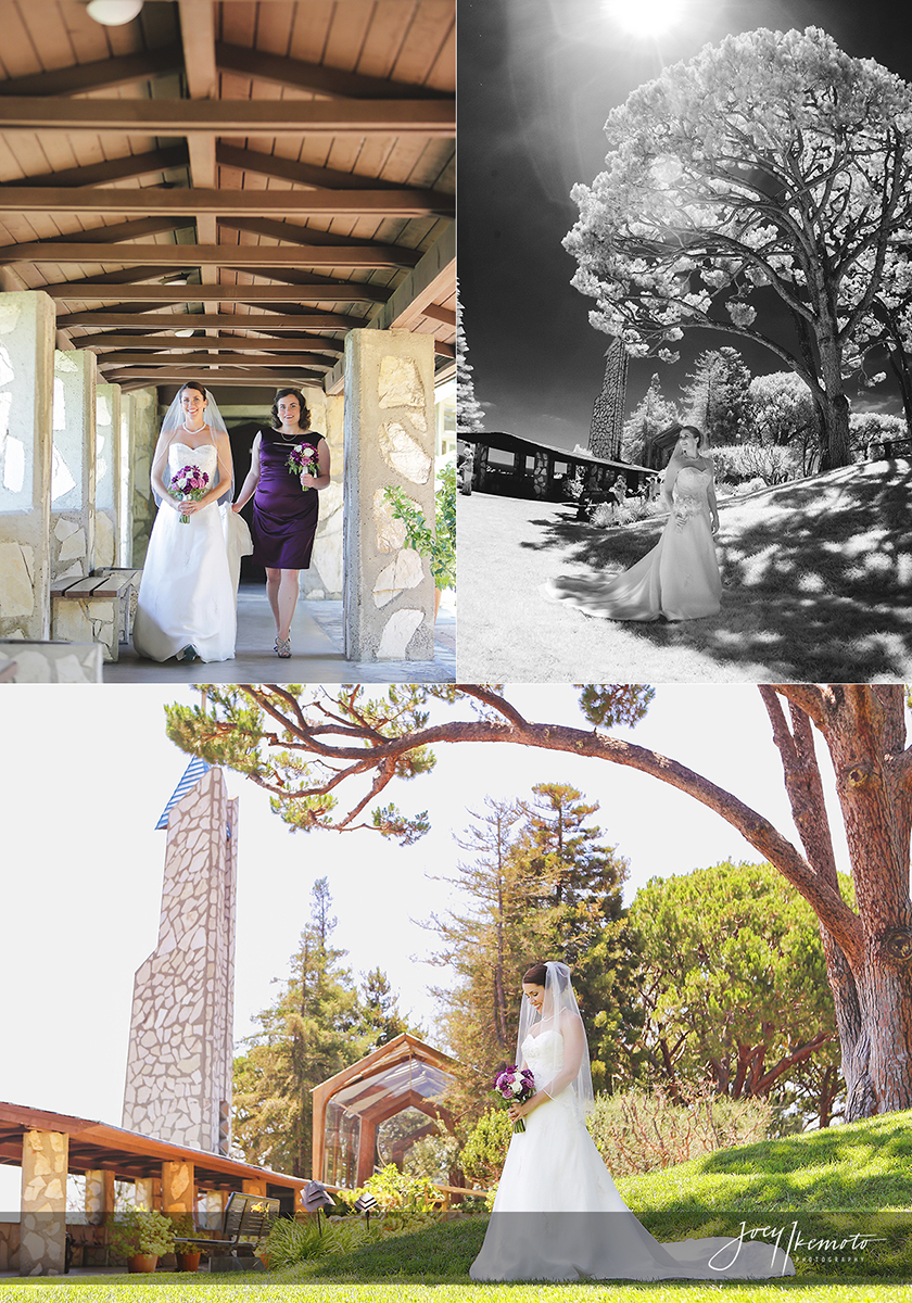 Wayfarers-Chapel-and-Palos-Verdes-Wedding_0010_Blog-Collage-1471382800210