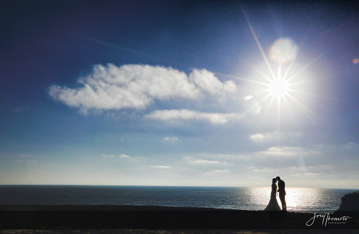 Wayfarers-Chapel-and-Portofino-Redondo-Beach-Wedding_0015_1479
