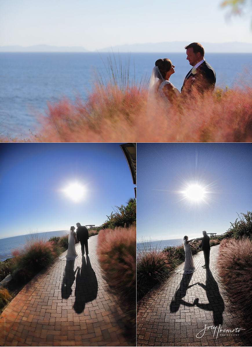 wayfarers-chapel-and-terrenea-resort-nelsons-wedding_0047_blog-collage-1481156579866